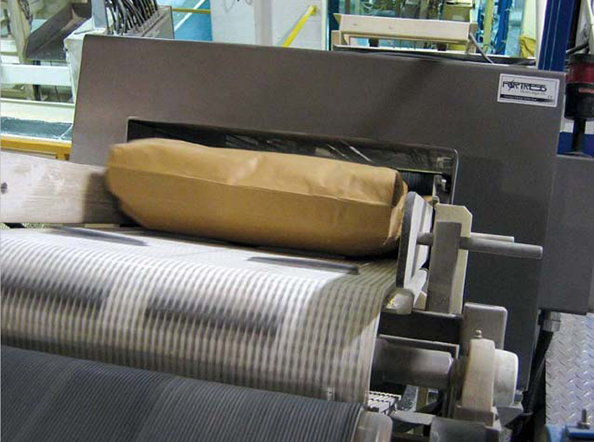 加拿大进口Fortress金属检测机